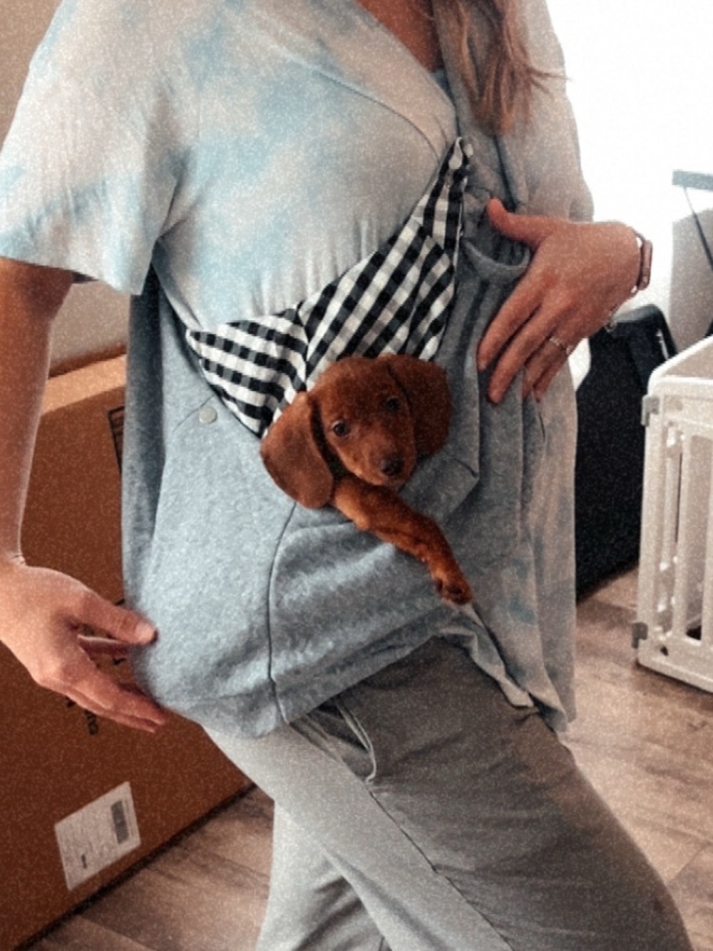 Puppy carrying shoulder bag